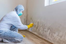 Best Water Damage & Mold Remediation  in Berwyn Heights, MD